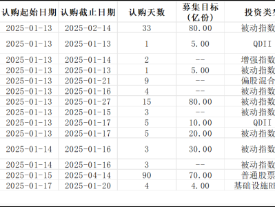 2025年首周基金发行观察：权益类基金唱主角，反映市场乐观情绪