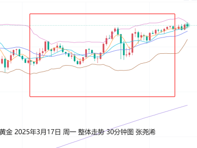 《3000美元已破！黄金疯涨不停，下一站5000美元？》