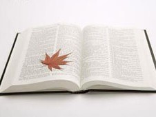 美股狂欢藏隐忧：科技股泡沫逼近？中概股反弹昙花一现？