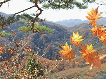 央行降准难解结构困局，房地产救市恐陷夜壶怪圈