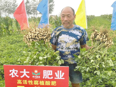 农大科技冲击北交所：原材料价格波动、供应商风险与外协模式挑战