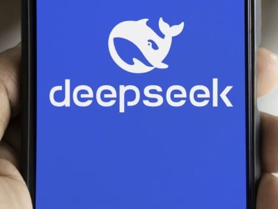 DeepSeek：赋能Web3生态的下一代LLM