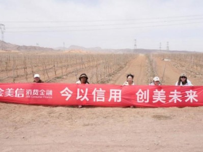 金美信“绿色公益”背后：消费金融的荒漠式洗白？