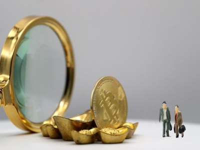 基金公告号：投资者不可忽视的投资决策关键